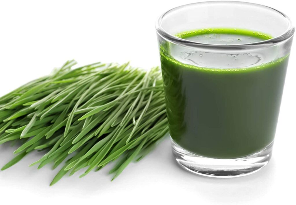 Best Wheatgrass Juicers