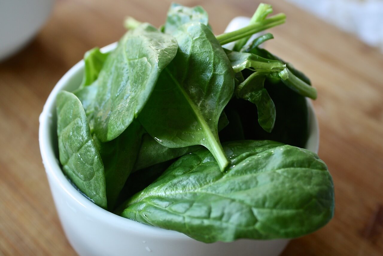 Can you Juice Spinach in a Masticating Juicer? Mobarok's Blog